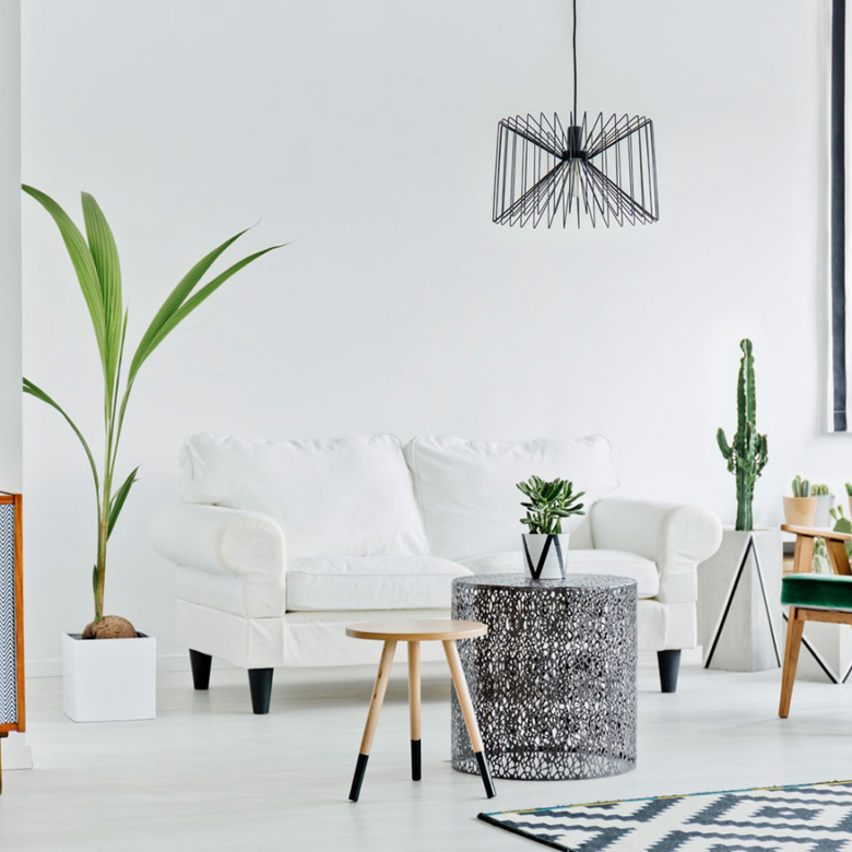 Ucha inmobiliaria
