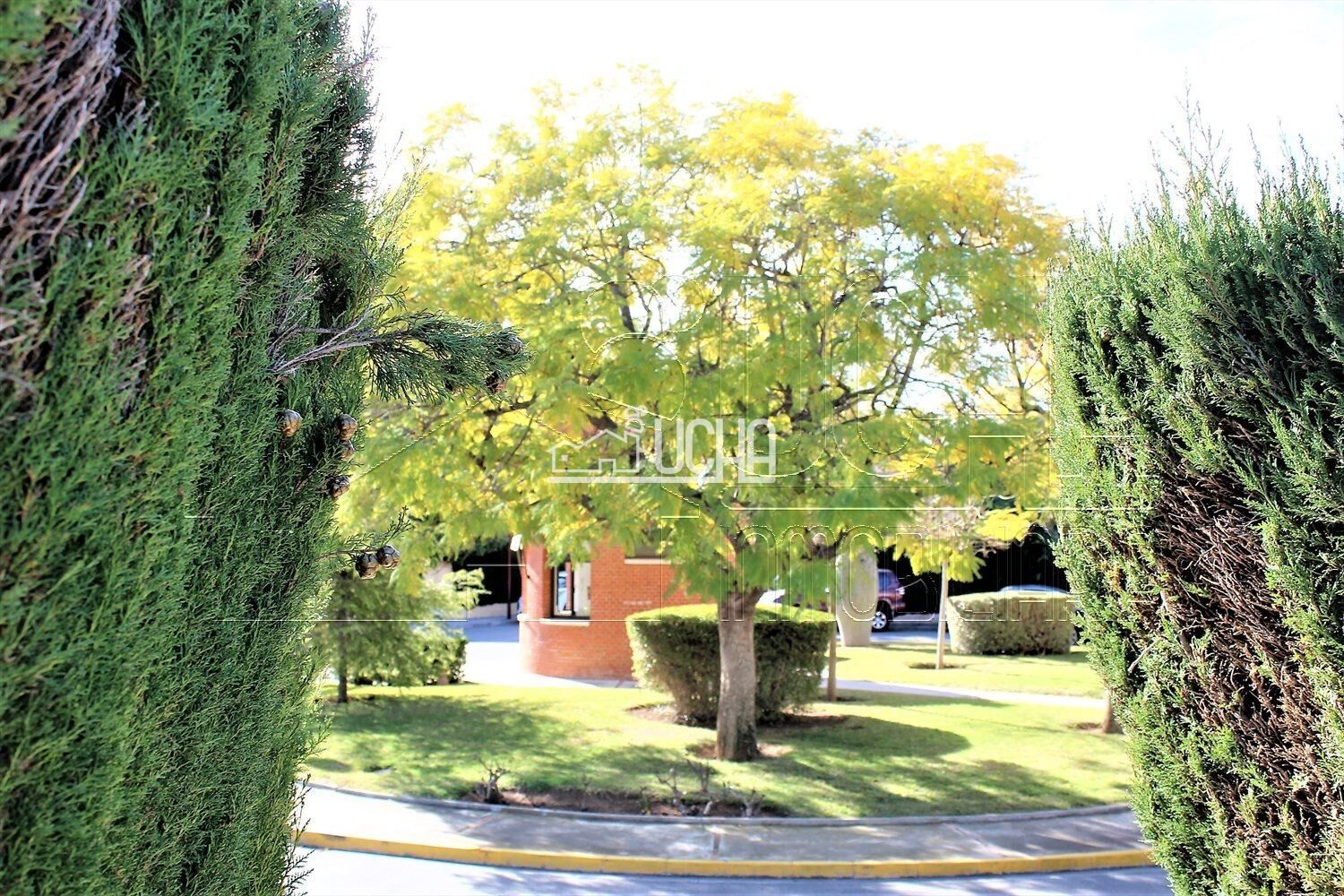 Pareado en Betera — 37