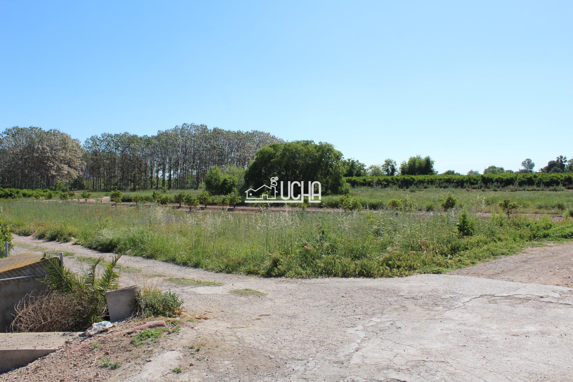 Nave industrial en Betera